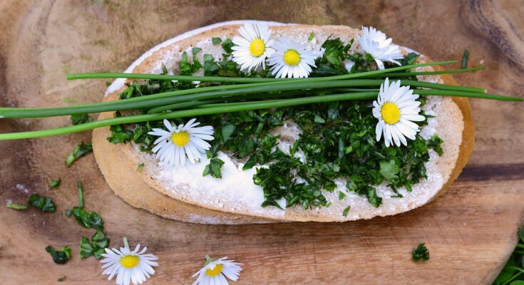 Blüten essen