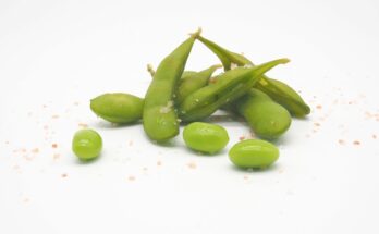 Edamame