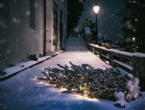 Weihnachtsbaum entsorgen